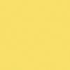 Alexis Plain Roller Blind - Canary Yellow