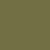 Alexis Plain Roller Blind - Asparagus Green